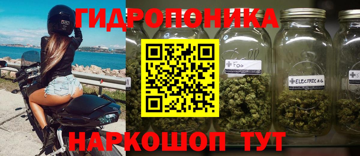 Горячий Ключ  Конопля планчик  Бошки марихуана индика  МАРИХУАНА семена  Вход с VPN  Каннабис Ganja 